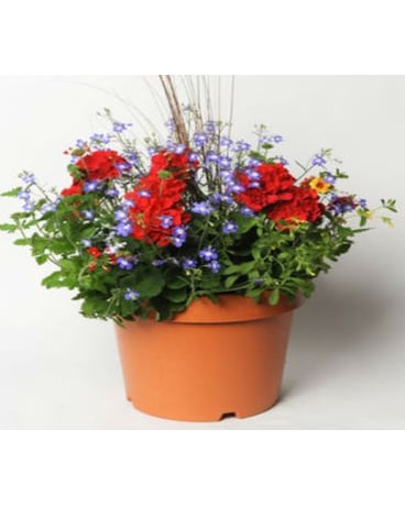 Blooming Container Garden